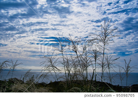 湘南平的風景 湘南平的風景 95098705