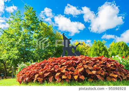 Scenery of Takino Suzuran Park 95098928