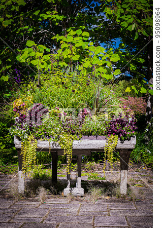 Scenery of Takino Suzuran Park Scenery of Takino Suzuran Park 95098964