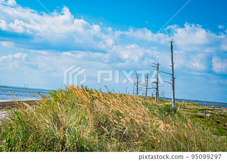 Scenery of the Noshi peninsula 95099297