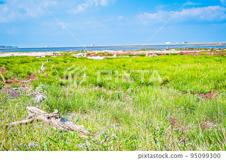 Scenery of the Noshi peninsula 95099300