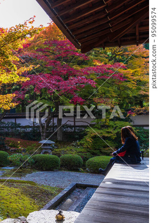 Autumn in Higashiyama, Kyoto Sennyu-ji Temple with autumn leaves Gozasho Garden Autumn in Higashiyama, Kyoto Sennyu-ji Temple with autumn leaves Gozasho Garden 95099574