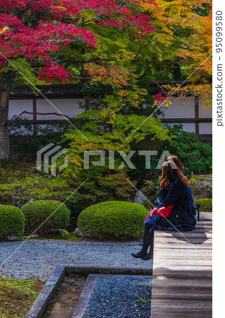 Autumn in Higashiyama, Kyoto Sennyu-ji Temple with autumn leaves Gozasho Garden Autumn in Higashiyama, Kyoto Sennyu-ji Temple with autumn leaves Gozasho Garden 95099580