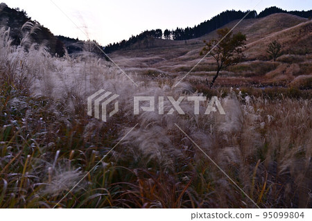 Autumn Toho plateau Autumn Toho plateau 95099804
