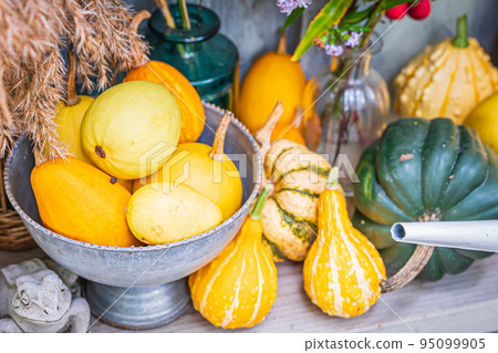 Autumn garden scenery in Hokkaido 95099905