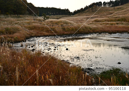 Autumn Toho plateau 95100118