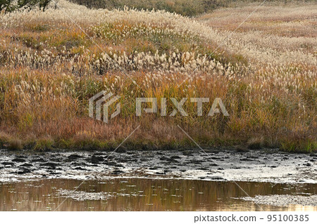 秋天東寶高原 95100385