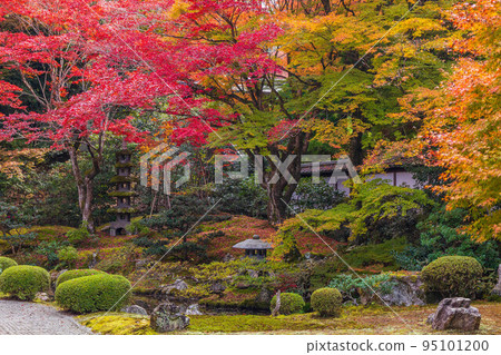秋天在東山,京都仙龍寺有秋葉 Gozasho 花園 秋天在東山,京都仙龍寺有秋葉 Gozasho 花園 95101200