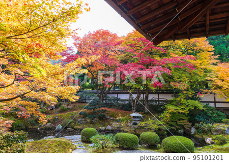 Autumn in Higashiyama, Kyoto Sennyu-ji Temple with autumn leaves Gozasho Garden 95101201