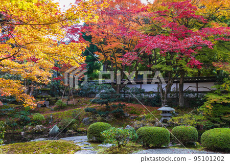 秋天在東山,京都仙龍寺有秋葉 Gozasho 花園 秋天在東山,京都仙龍寺有秋葉 Gozasho 花園 95101202
