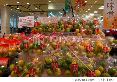 [大阪縣]10月：新鮮水果、有田橘子 95101368