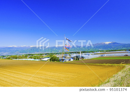 Rural scenery and carp streamers 95101374