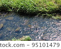 舒緩的溪流 95101479