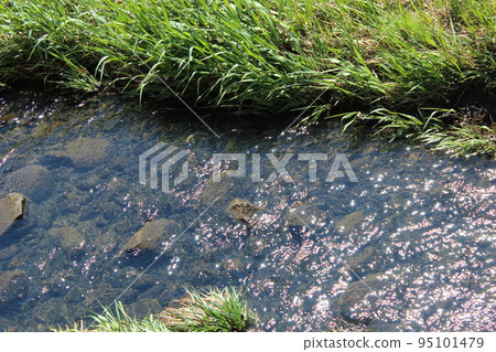 舒緩的溪流 95101479