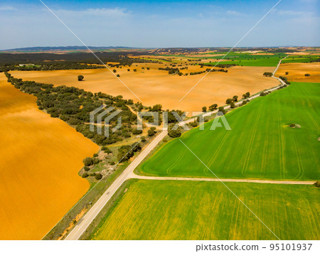 Aerial view of the fields in the region of Castile-La Mancha Aerial view of the fields in the region of Castile-La Mancha 95101937