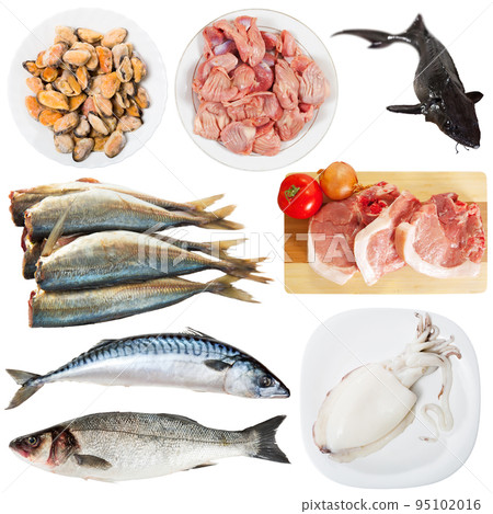 Raw meat, poultry fish isolated on white background, nobody Raw meat, poultry fish isolated on white background, nobody 95102016