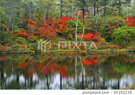 Shiga Kogen Kazuma Shiga Kogen Kazuma 95103239
