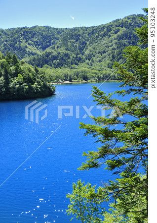 Shigakogen Highlands Pond Shigakogen Highlands Pond 95103248