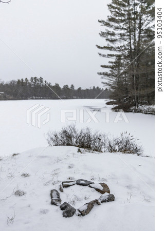 winter forest with snow winter forest with snow 95103404
