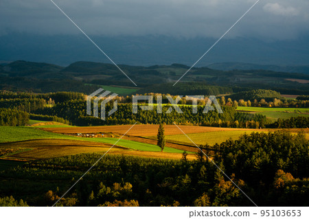 秋天黃昏的北海道修術之丘 秋天黃昏的北海道修術之丘 95103653
