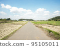rice field road under the blue sky 95105011