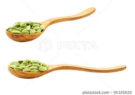 Cardamom pods in a wooden spoon isolated on white background. Cardamom pods in a wooden spoon isolated on white background. 95105620