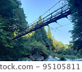 Suspension bridge over the river 1 95105811