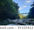 Suspension bridge over the river 2 95105812
