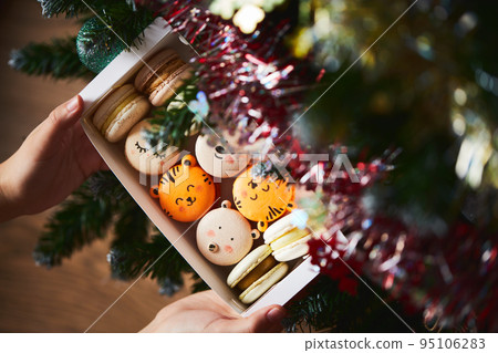 Macaroons in the hands of a girl under the Christmas tree. Top view. 95106283
