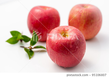 非常甜的蘋果蘋果 非常甜的蘋果蘋果 95106807