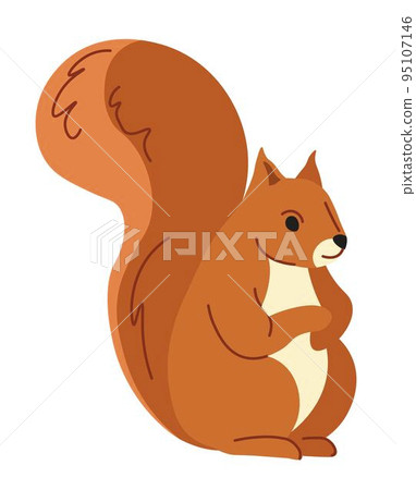 Forest animals portrait, squirrel rodent portrait Forest animals portrait, squirrel rodent portrait 95107146