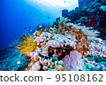 colorful sea world 95108162