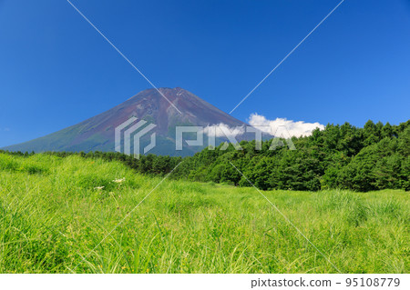 Yamanashi _ Fresh green Mt.Fuji seen from Fujiyoshida 95108779