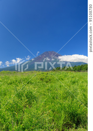 Yamanashi _ Fresh green Mt.Fuji seen from Fujiyoshida 95108780