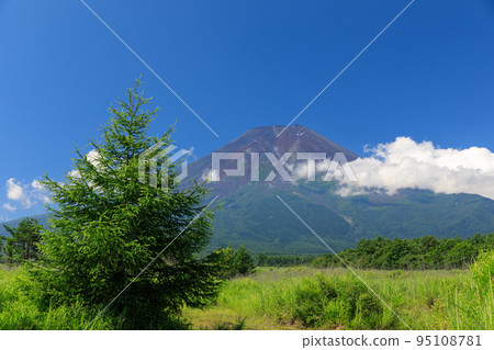Yamanashi _ Fresh green Mt.Fuji seen from Fujiyoshida 95108781