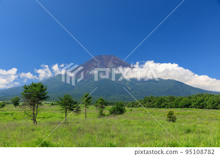 Yamanashi _ Fresh green Mt.Fuji seen from Fujiyoshida 95108782