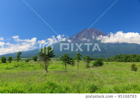 Yamanashi _ Fresh green Mt.Fuji seen from Fujiyoshida 95108783