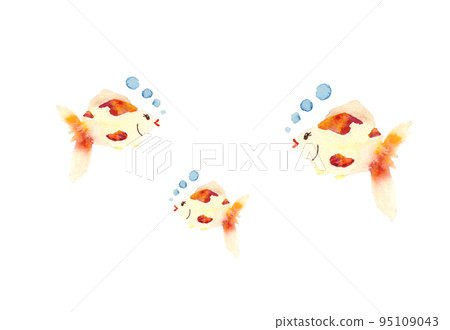 水彩金魚 水彩金魚 95109043