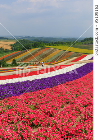 北海道美瑛_四季彩之丘的風景 95109162