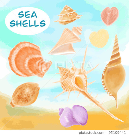 Illustration of seashells in the sea Illustration of seashells in the sea 95109441