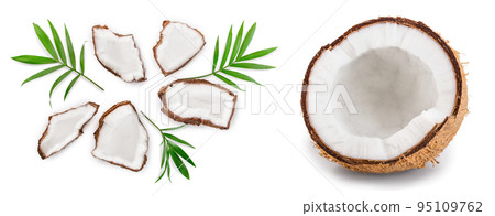 piece of coconut with leaves isolated on white background. Top view. Flat lay 95109762