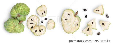 Sugar apple or custard apple isolated on white background. Exotic tropical Thai annona or cherimoya fruit. Top view. Flat lay Sugar apple or custard apple isolated on white background. Exotic tropical Thai annona or cherimoya fruit. Top view. Flat lay 95109814