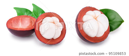 ripe mangosteen with leaf isolated on white background closeup 95109853