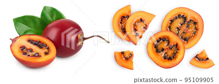 Fresh tamarillo fruit with leaves isolated on white background Fresh tamarillo fruit with leaves isolated on white background 95109905