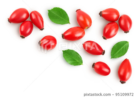 Rose hip isolated on a white background with full depth of field. Top view with copy space for your text. Flat lay. Rose hip isolated on a white background with full depth of field. Top view with copy space for your text. Flat lay. 95109972
