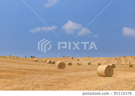 北海道美瑛_大麥草卷的風景 北海道美瑛_大麥草卷的風景 95110376