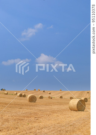 北海道美瑛_大麥草卷的風景 北海道美瑛_大麥草卷的風景 95110378