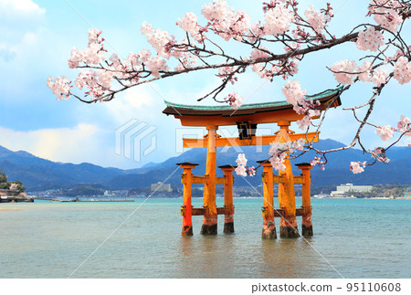 Branch of the blooming sakura with pink flowers and Torii gate, Itsukushima Shrine, Miyajima island, Hiroshima prefecture, Japan Branch of the blooming sakura with pink flowers and Torii gate, Itsukushima Shrine, Miyajima island, Hiroshima prefecture, Japan 95110608