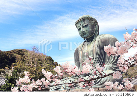 Ancient bronze statue of the Great Buddha Daibutsu and flowers of sakura, Kotoku-in temple, Japan, Asia 95110609