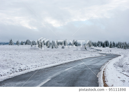 Winter asphalt road in forest 95111898